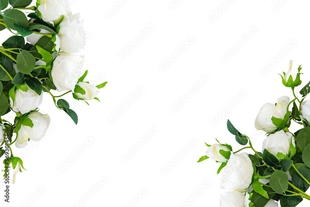 frame of white flower on transparent background Stock Photo Adobe Stock