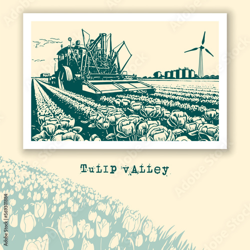 Tulip Valley and flower harvester, monochrome retro style. Vector flowers field harvest banner with tulip fields landscape and tractor.