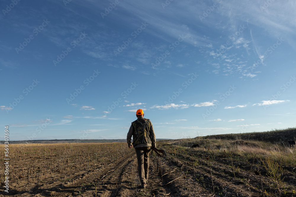 Mature man hunter with gun while walking on field.