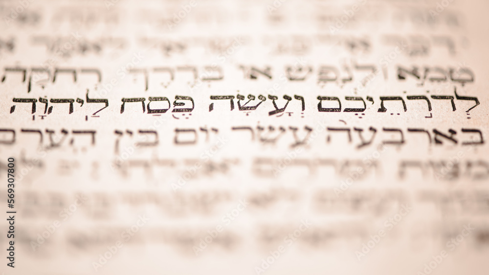 Page of old worn shabby jewish book Torah. Selective focus on snippet Hebrew Bible text that translates in english: offer the Passover sacrifice to Jehovah. Closeup.