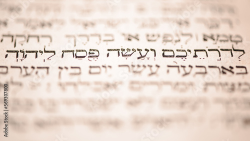 Obraz na płótnie Page of old worn shabby jewish book Torah. Selective focus on snippet Hebrew Bible text that translates in english: offer the Passover sacrifice to Jehovah. Closeup. w salonie