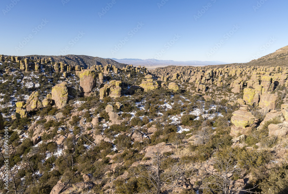 Winter Landscape in the Chiricahua National Monument Arizona