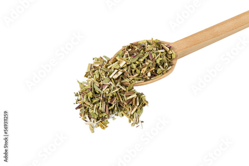 Catnip herb in latin - Nepeta cataria on wooden spoon isolated on white background. Medicinal herb.