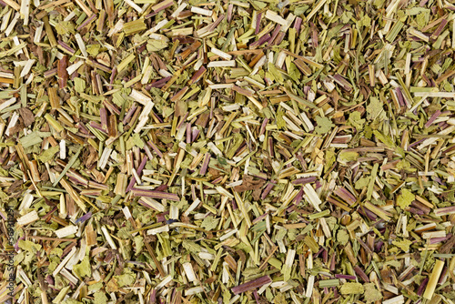 Catnip herb in latin - Nepeta cataria background. Medicinal herb. photo
