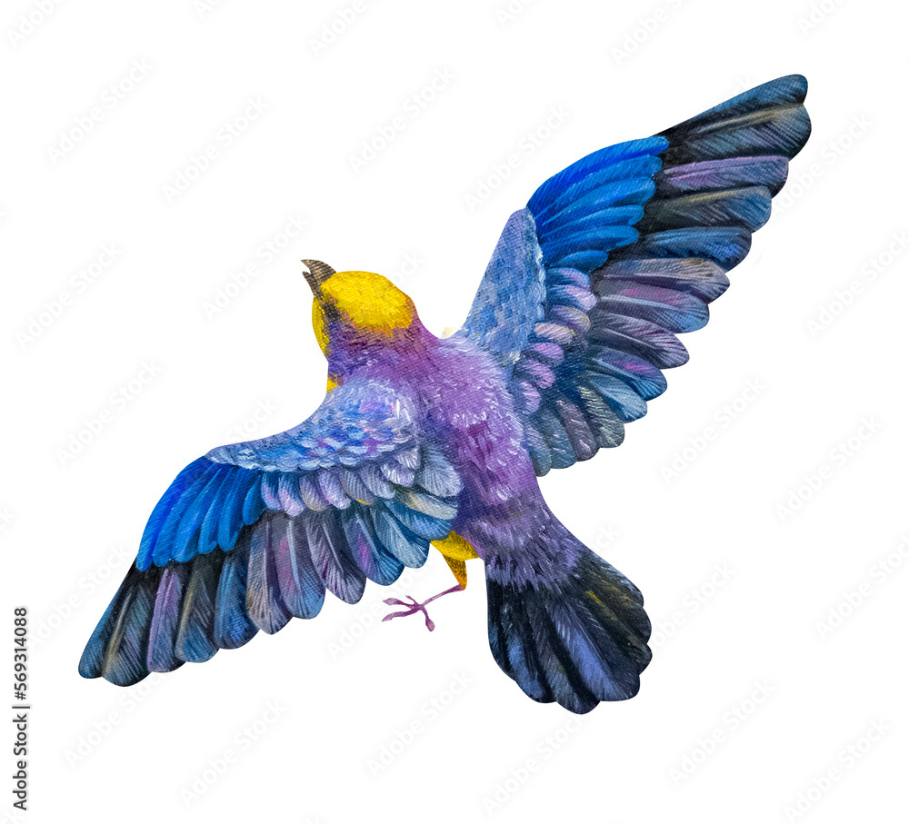 A flying bird. Watercolor illustration.