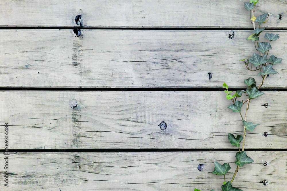 Fototapeta premium 木目背景とグリーン