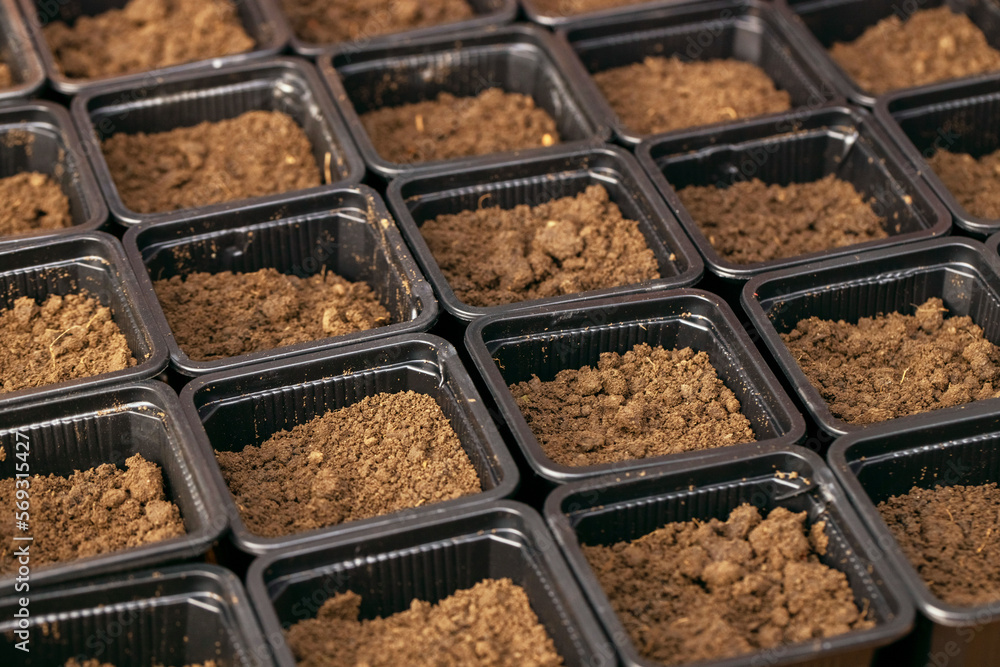 Plastic pots with fertile soil for planting seeds and seedlings Plastic pots with fertile soil for planting seeds and seedlings