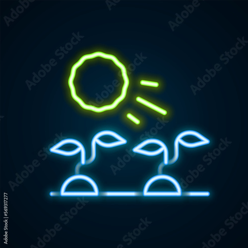 Glowing neon line Plant sprouts grow in the sun icon isolated on black background. Seedling concept. Colorful outline concept. Vector