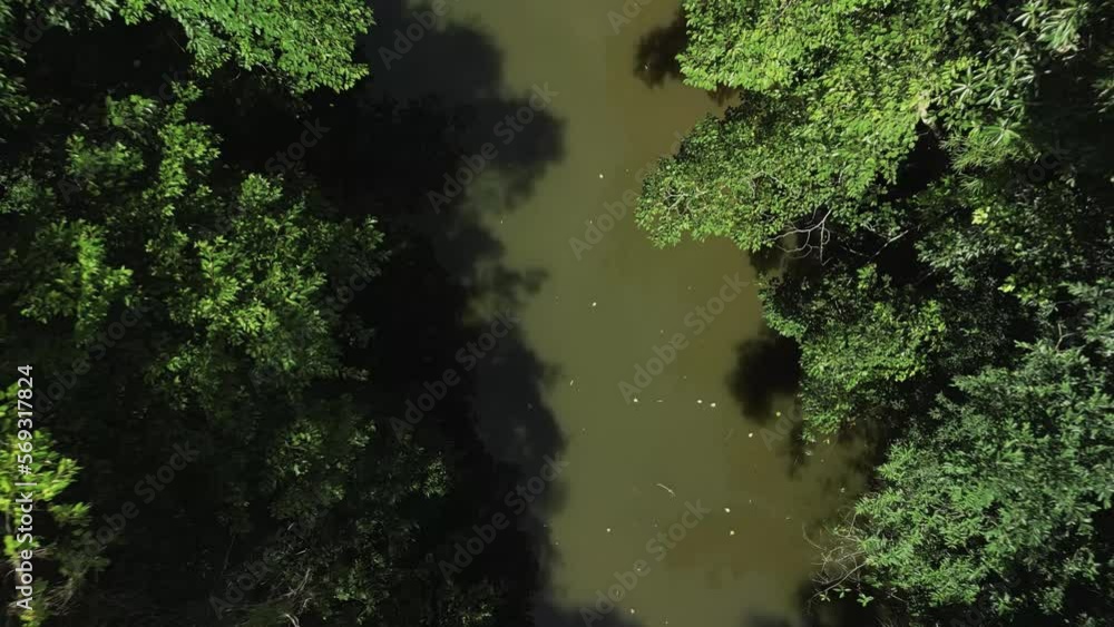 Aerial of small lake surrounded by trees. Rainforest. Brazil. 4K. Aerial of small lake surrounded by trees. Rainforest. Brazil. 4K.