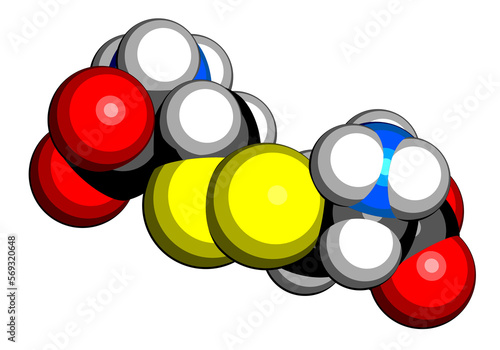 Cystine molecule. Oxidized dimer of the amino acid cysteine. 3D rendering. photo