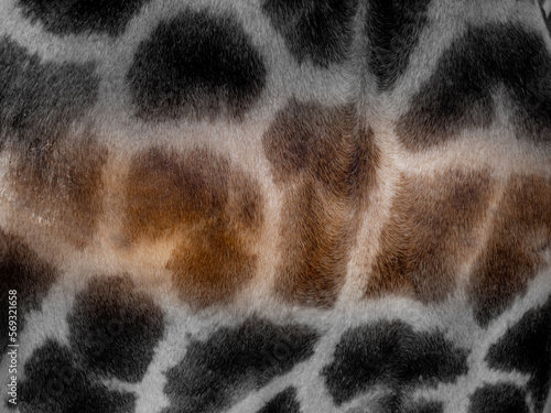 giraffe background with spots