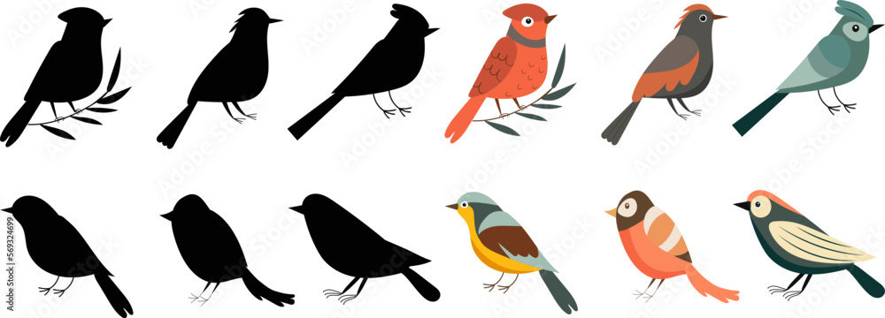 birds of different breeds set on white background, vector