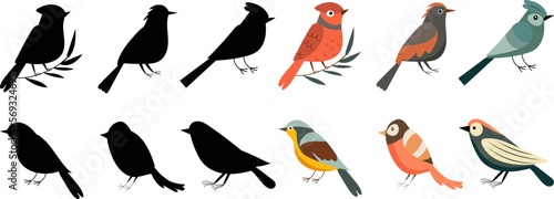 birds of different breeds set on white background, vector