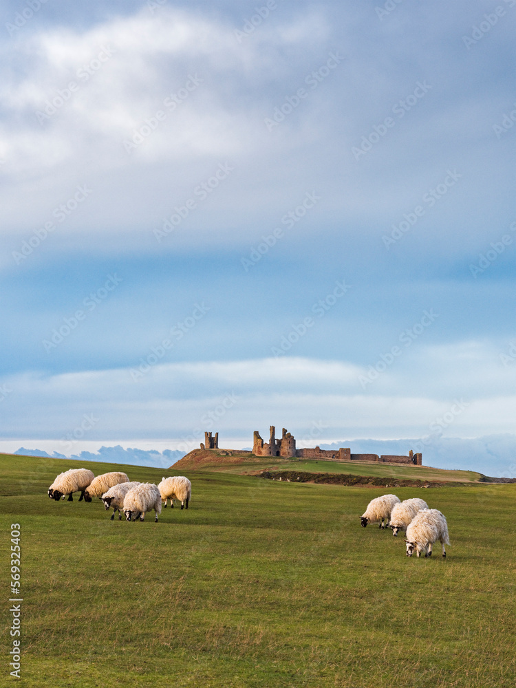 Fototapeta premium Dunstanburgh Castle on the Northumberland coast with copy space