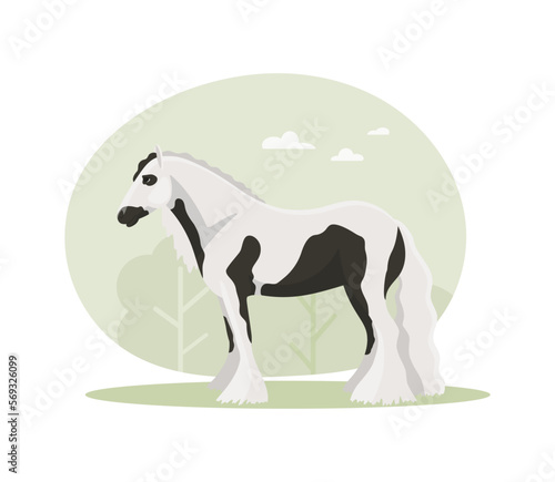 Piebald Tinker of on a natural background