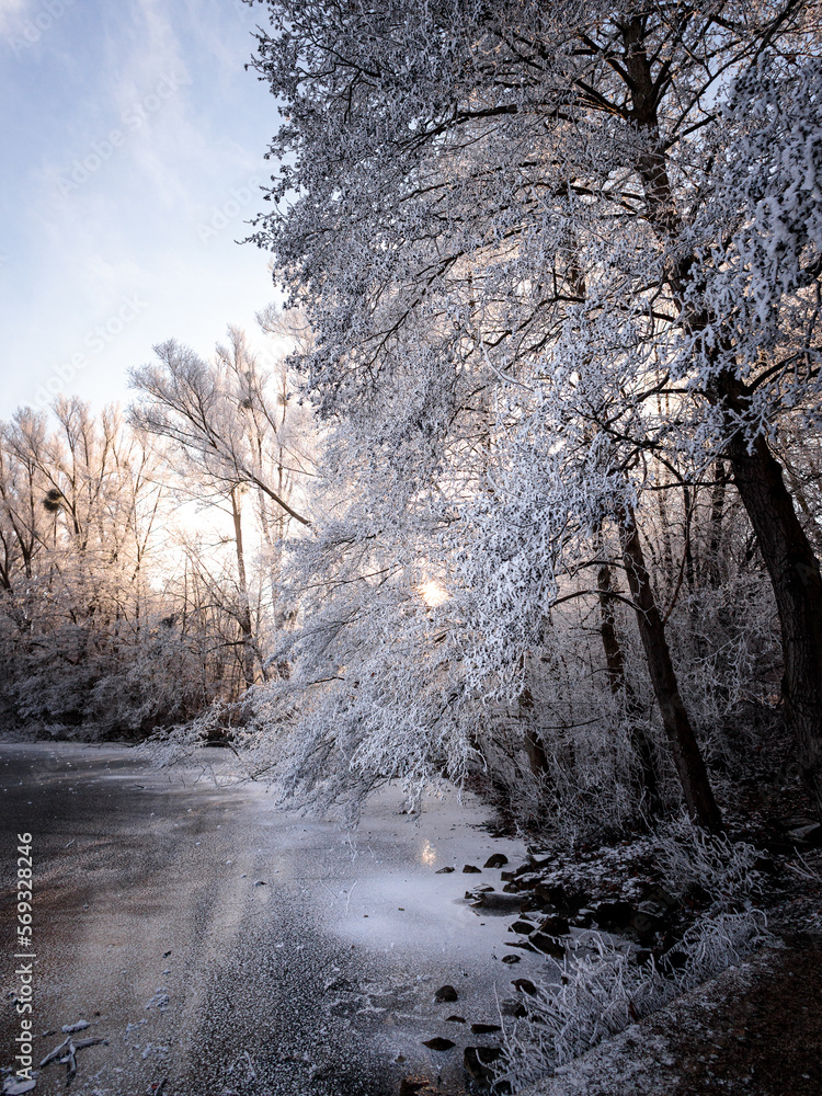 landscape with frozen lake and trees landscape with frozen lake and trees
