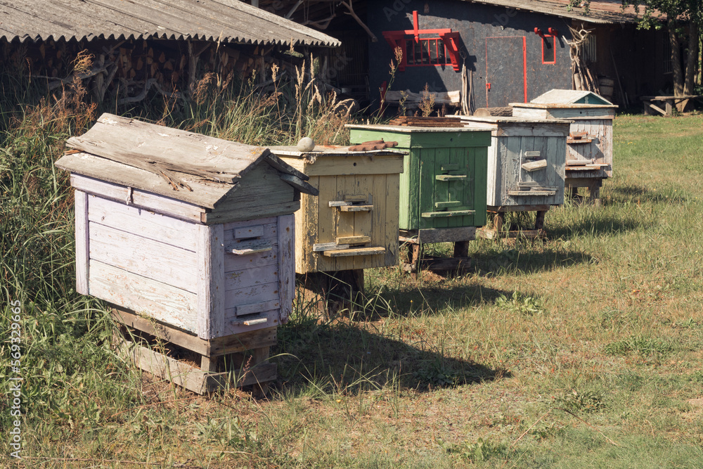 Row of old beehouses in home garden. Colored wooden boxes for beekeeping. Homemade honey production, apiculture. Row of old beehouses in home garden. Colored wooden boxes for beekeeping. Homemade honey production, apiculture.