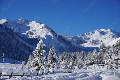 snow covered trees in the ski resort in the mountains of Squaw Valley, CA, USA with the bike path