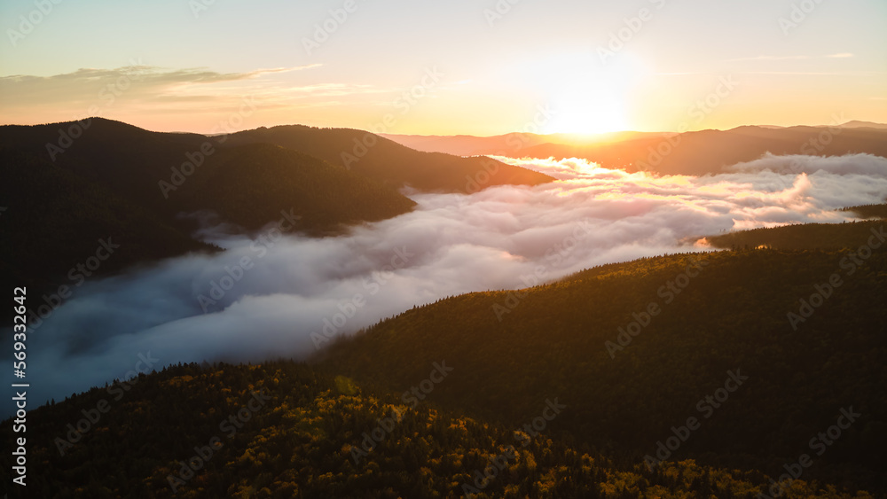 Fototapeta premium Aerial view of bright foggy morning over dark mountain forest trees at autumn sunrise. Beautiful scenery of wild woodland at dawn