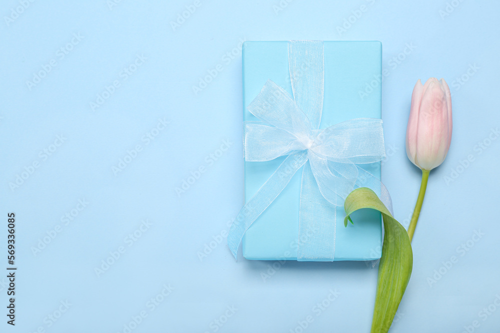 Fototapeta premium Beautiful tulip flower and gift box for Women's Day celebration on blue background