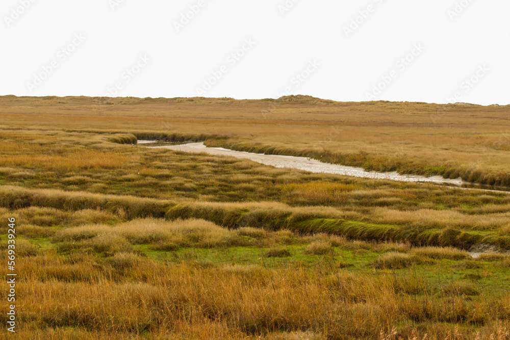 Die Salzwiesen von St. Peter-Ording sind ein natürlicher Übergang von Land und Meer. Sie sind sind ein streng geschützter Lebensraum für ca. 50 Vogelarten und fast 2000 Insekten- und Käferarten. Die Salzwiesen von St. Peter-Ording sind ein natürlicher Übergang von Land und Meer. Sie sind sind ein streng geschützter Lebensraum für ca. 50 Vogelarten und fast 2000 Insekten- und Käferarten.