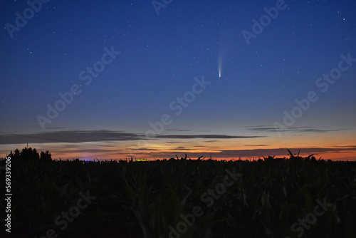 comet Neowise in the evening sky.  photo