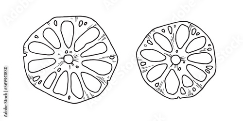  Asian dish lotus chips in sketch style, for menu decor, sticker, coloring, embossing