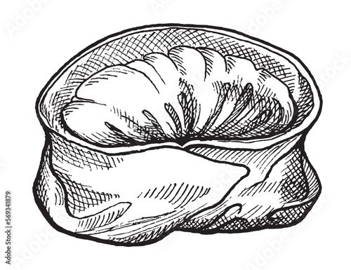 Asian steamed dish, gyoza dumplings in sketch style, for menu decor, sticker, coloring, embossing