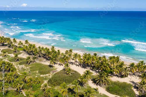 Caribbean beach scene with coconut palms, sand, ocean and blue sky. Tropical nature. Dominican Republic. Aerial view
