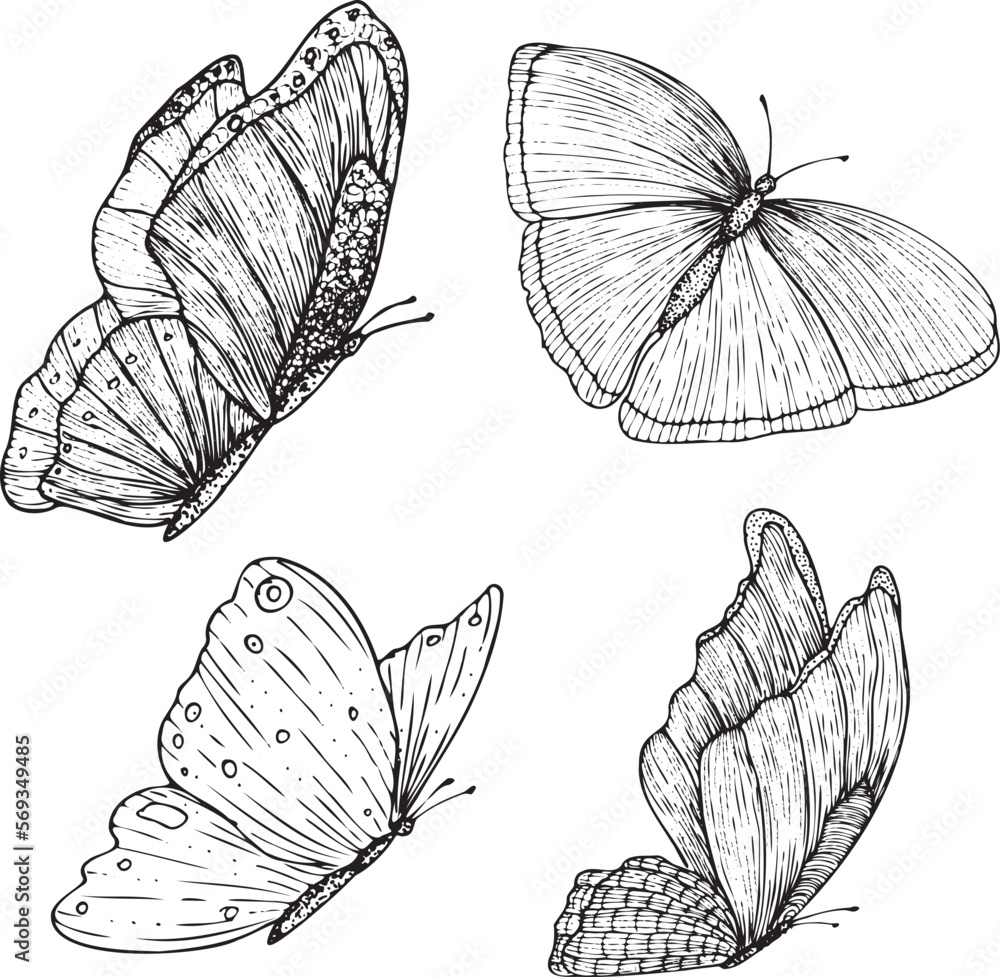 Set of decorative butterflies. Set of butterflies silhouettes isolated on white background. Decorative design elements. . Vector clipart for logos, package design, emblem, tattoos