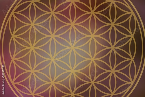 flower of life on atmospheric background