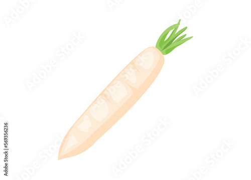 White radish. Simple flat illustration.
