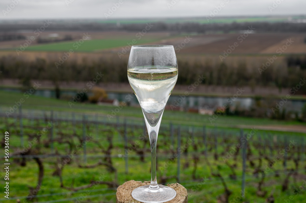 Tasting of brut champagne sparkling wine with view on hilly pinot noir gran cru vineyards of famous champagne houses near Ay and Marne river in winter, Champagne, France