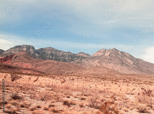 landscape in the desert