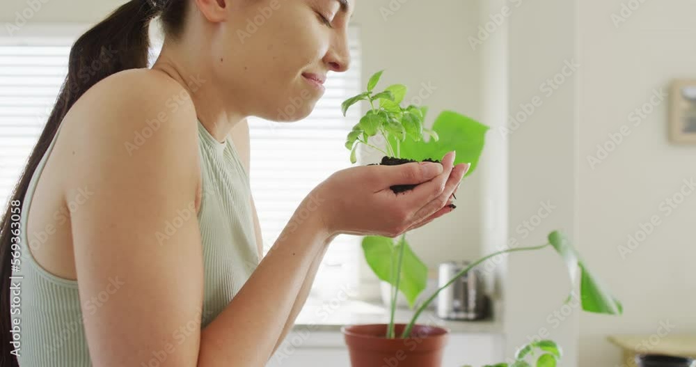 Happy caucasian woman holding and smelling clump of ground with plant of basil Happy caucasian woman holding and smelling clump of ground with plant of basil