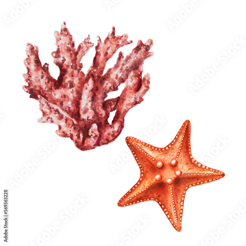 Watercolor starfish and coral. Hand painting clipart underwater life objects on a white isolated background. For designers, decoration, postcards, wrapping paper, scrapbooking, covers, invitations