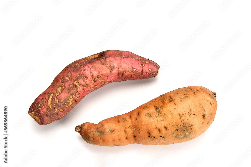 Fresh sweet potato, raw sweet potatoes isolated on white background, vegetarian food concept Fresh sweet potato, raw sweet potatoes isolated on white background, vegetarian food concept