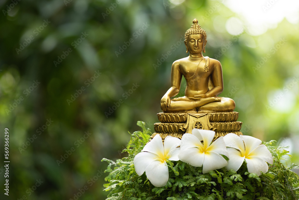 Buddha statue and plumeria flowers on nature background.