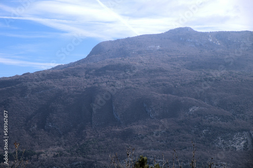 mountains in the fog