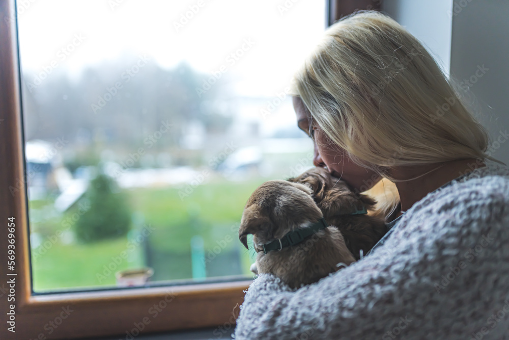 Beautiful woman holding a bunch of dog puppies and kissing them by the window. High quality photo Beautiful woman holding a bunch of dog puppies and kissing them by the window. High quality photo