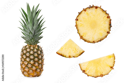 Whole juicy fresh pineapple. Pieces of pineapple circles, rings, halves, quarters. Isolated.