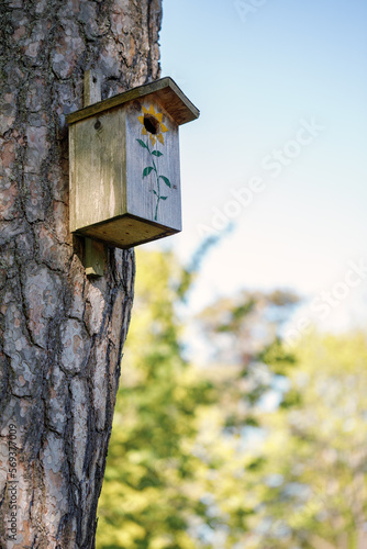 Homemade bird nesting box hangs on a tree in spring green background. Vertical image with bokeh background.