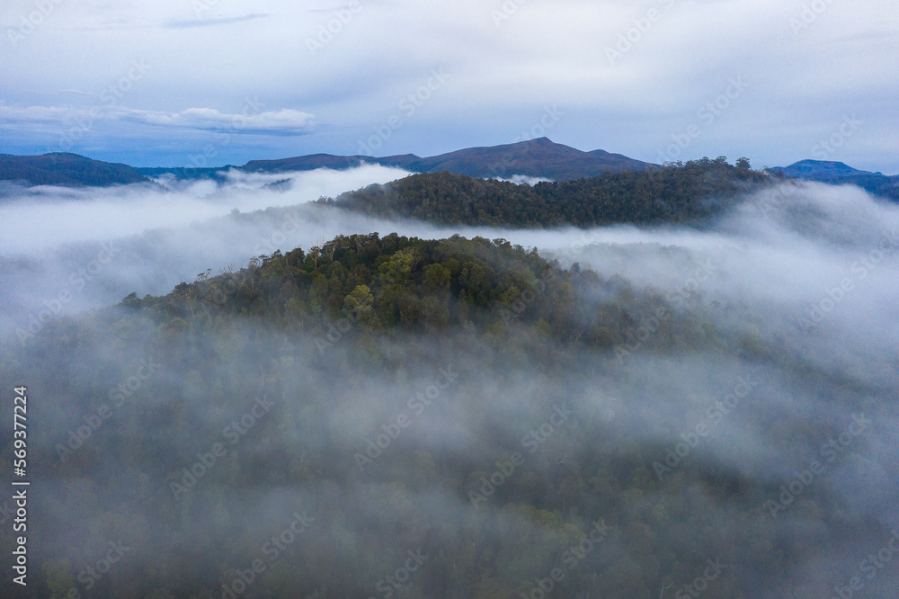 Fog and mist surround the rainforest near Mt Donaldson in Tasmania's Tarkine