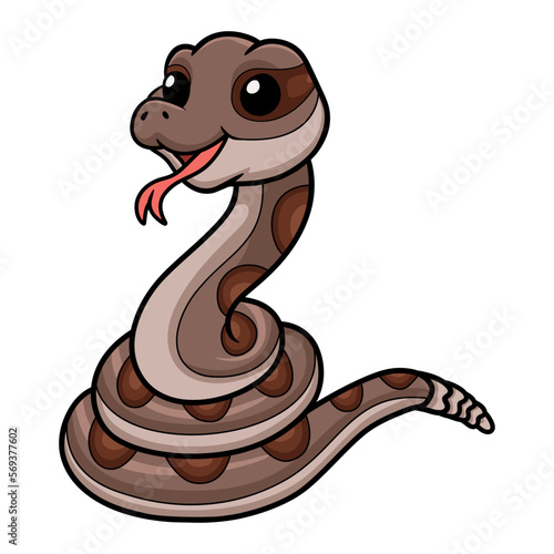 Cute rattlesnake cartoon on white background