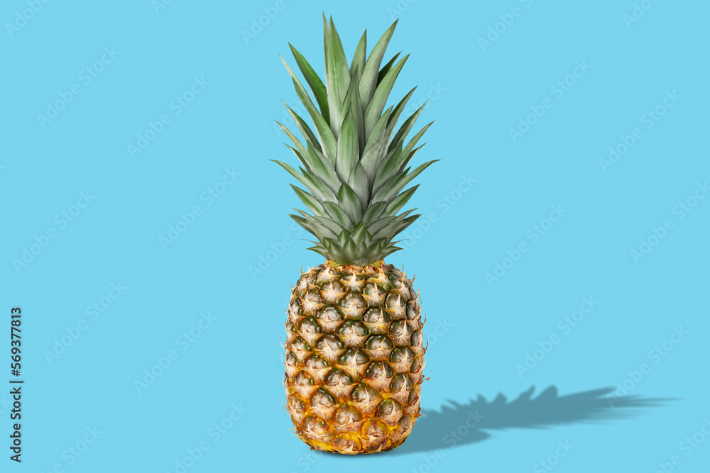 Fresh juicy tasty whole pineapple. On a blue background. Fresh juicy tasty whole pineapple. On a blue background.