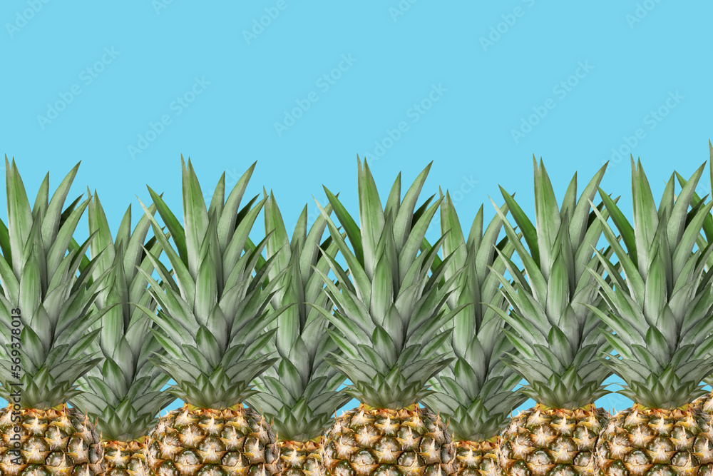 Obraz premium Pineapple background. Blue background and fresh pineapples. Top part. Concept.