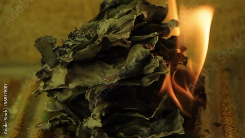 Fire 4