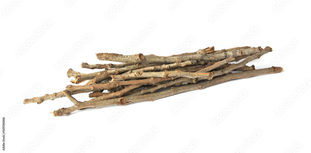 Old dry tree twigs isolated on white Old dry tree twigs isolated on white