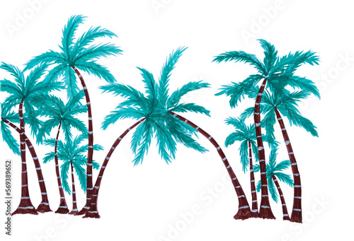 Hand-painted watercolor palm tree isolated on transparent background PNG file © banphote