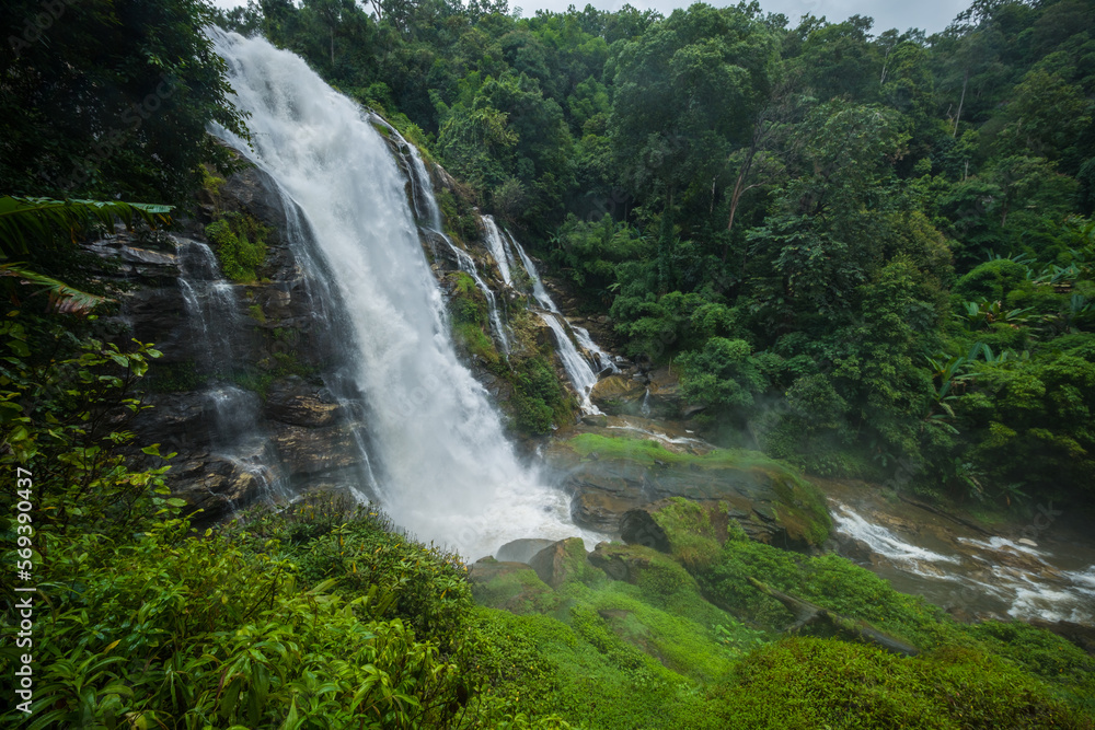 waterfall in the forest